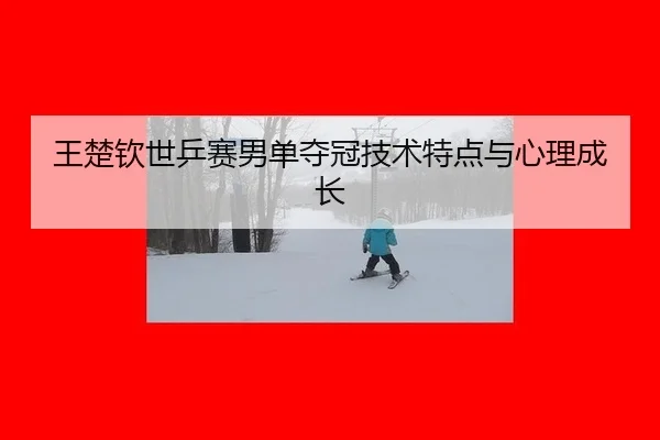 wang-chu-qin-shi-ping-sai-nan-dan-duo-guan-ji-shu-te-dian-yu-xin-li-cheng-zhang-1-774.jpg